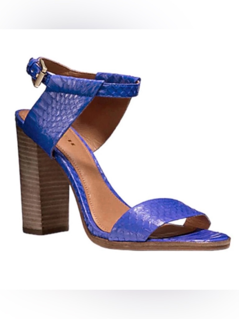 Coach Lexey Sandals in Cobalt Blue Snake‎ Size 8